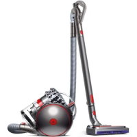 DYSON Cinetic Big Ball Animal Pro 2