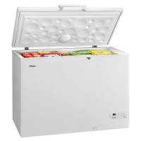 HAIER HCE319R