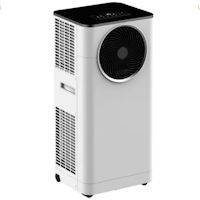 HEALLUX Cyclona 2000