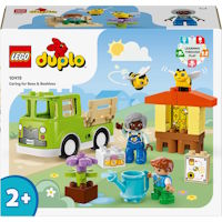 LEGO 10419