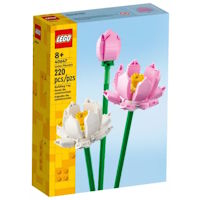 LEGO 40647