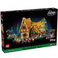 LEGO 43242
