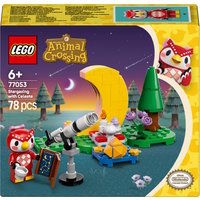 LEGO 77053