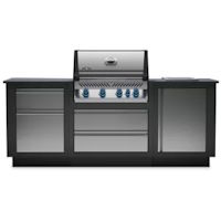 NAPOLEON Oasis Compact P500