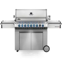 NAPOLEON Prestige Pro 665 PRO665RSIBPSS-3-FR