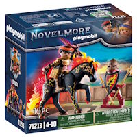 PLAYMOBIL 71213