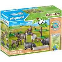 PLAYMOBIL 71307