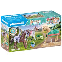 PLAYMOBIL 71356