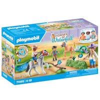 PLAYMOBIL 71495