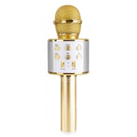 R-MUSIC Micro Karaoké Doré