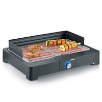 SEVERIN PG8560