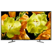 SONY KD55XG8196