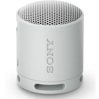 SONY SRS-XB100 Gris perle