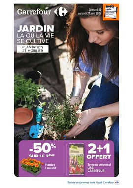 CARREFOUR 3616957668896