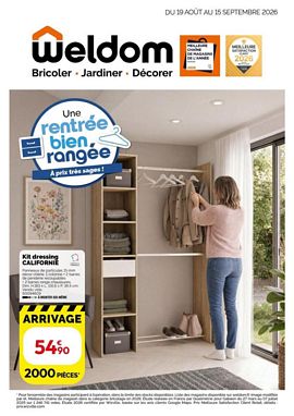 DEXTER POWER DWD20L